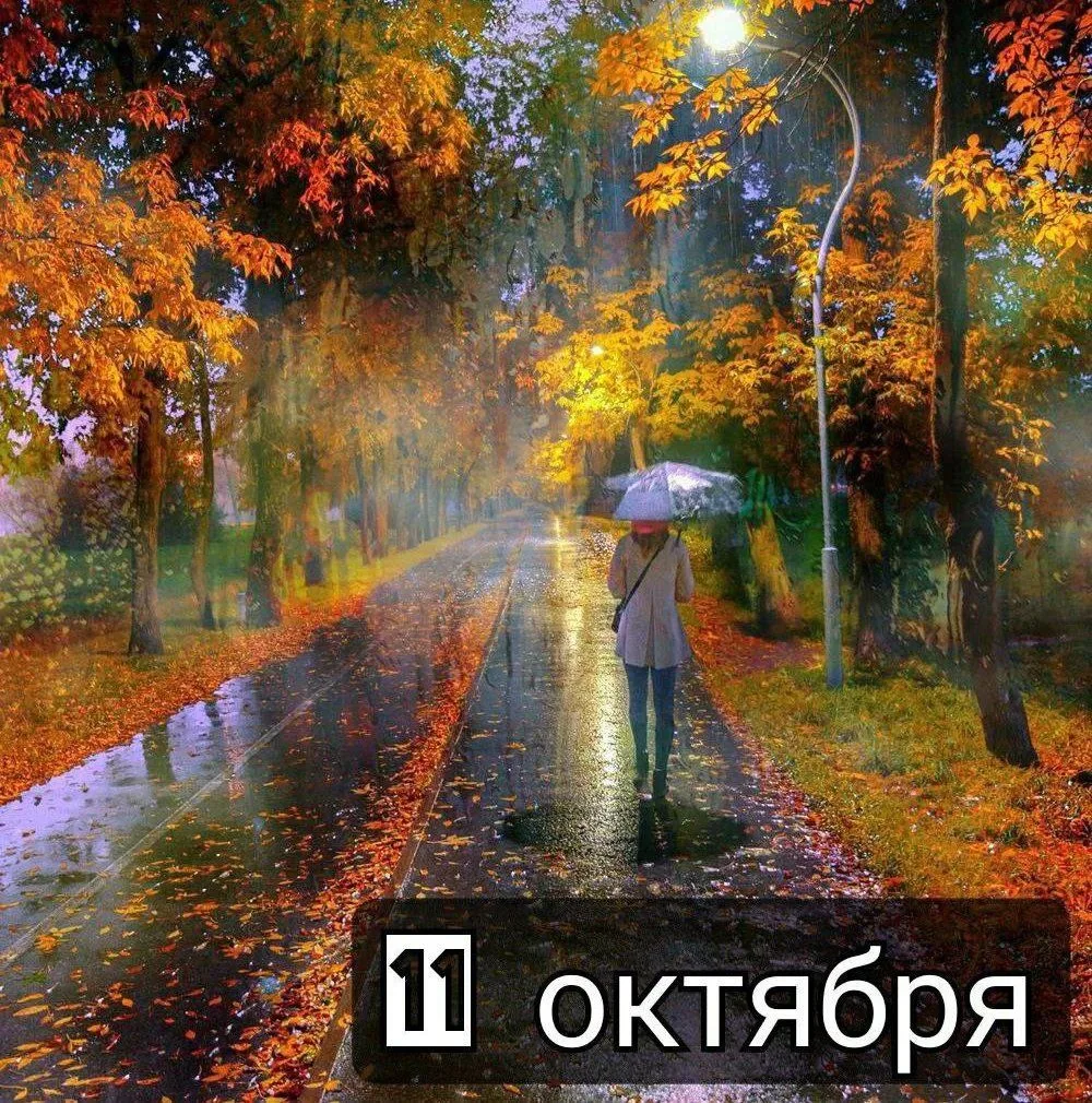 Праздники 11 октября 🗓️