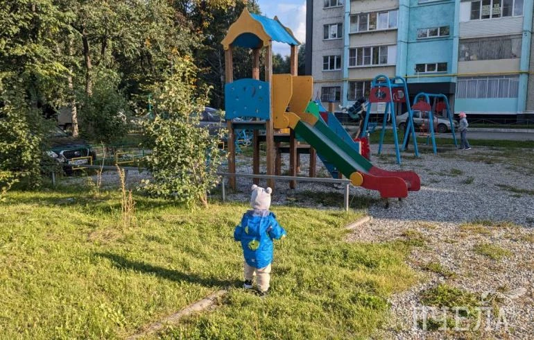 👨‍👩‍👧‍👦 Более 35,7 тысячи родителей Челябинской области получили новую семейную вып...