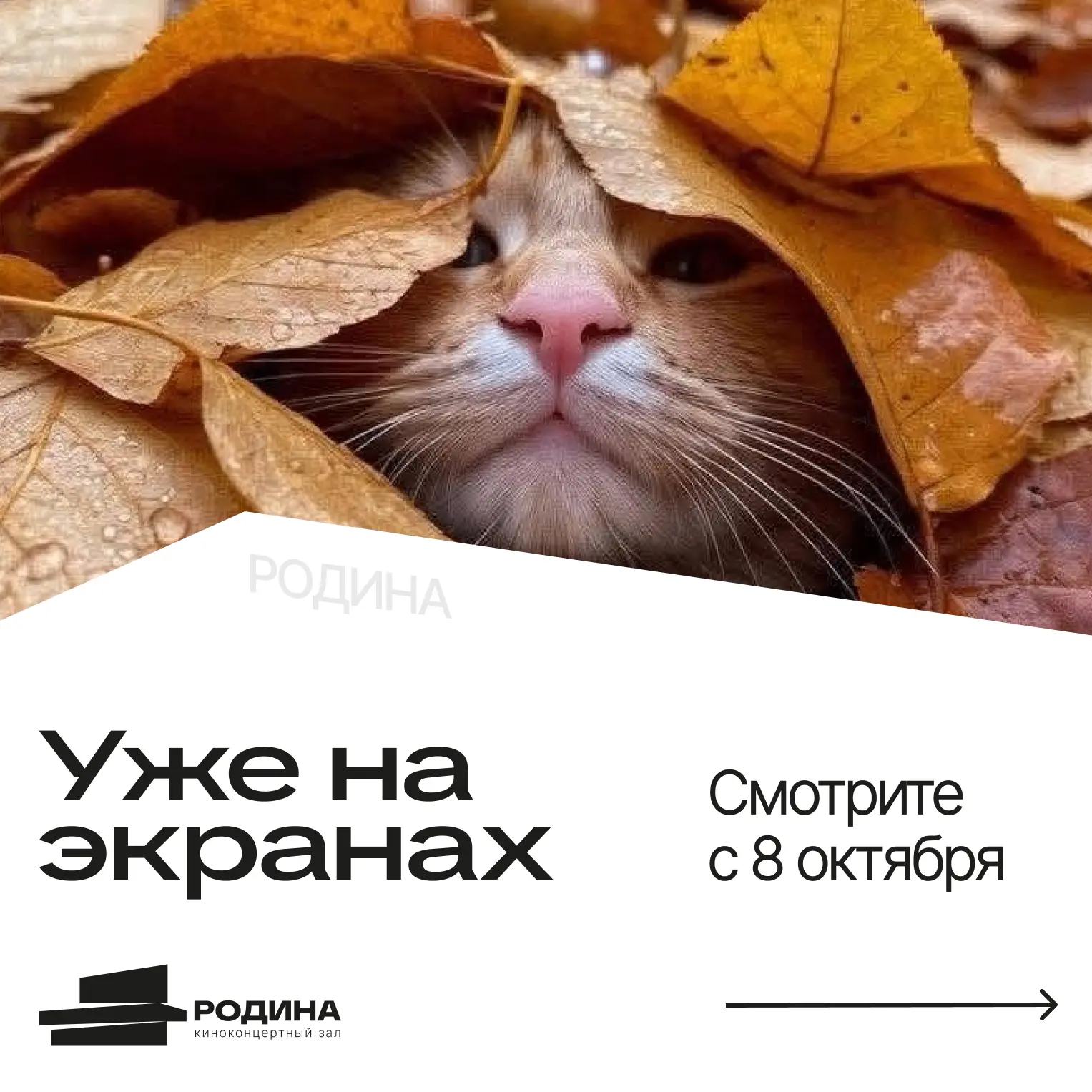 Что это у нас тут? 🔍
