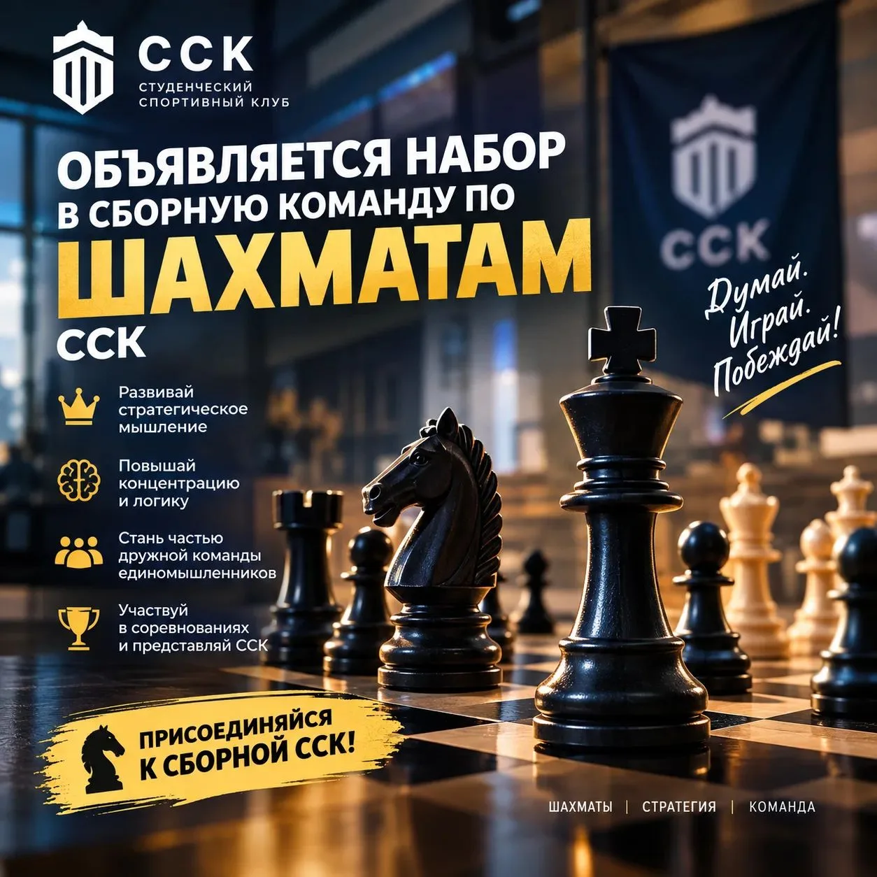 ♟️ СТРАТЕГИЯ, ЛОГИКА И ХЛАДНОКРОВИЕ: ОБЪЯВЛЯЕМ НАБОР В СБОРНУЮ ПО ШАХМАТАМ!