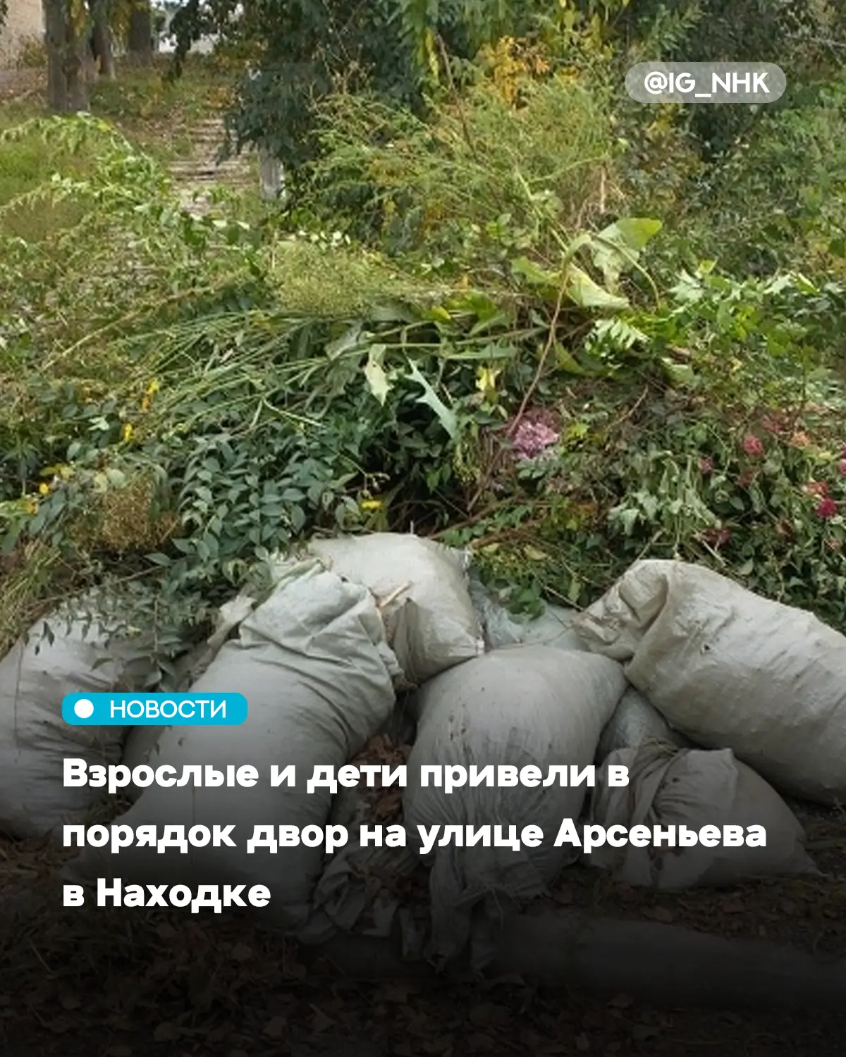 Жители ТОС «Арсеньева, 19» провели осенний субботник на своей территории. Они убрали оп...