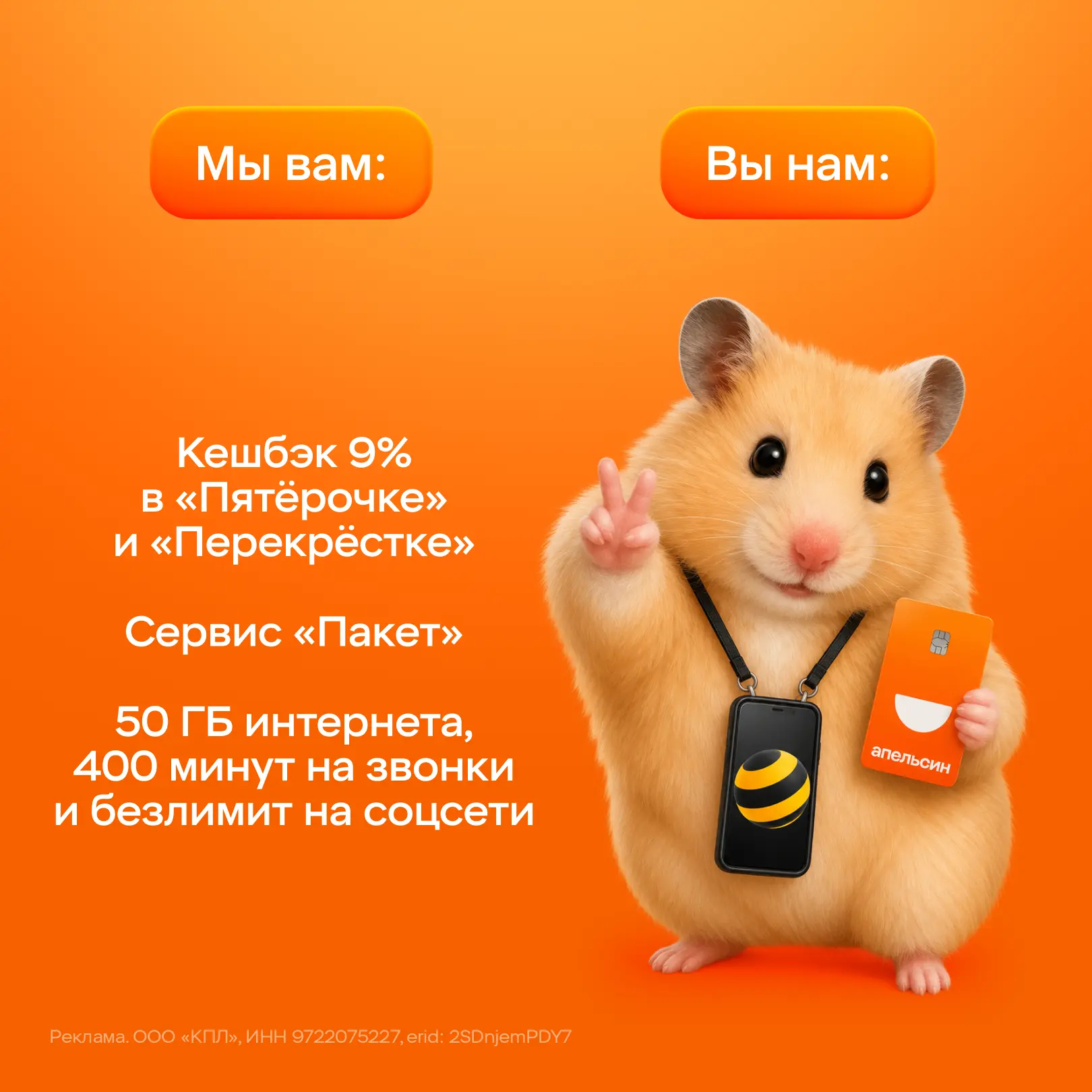 Изображение 1 к публикации «Апельсин»