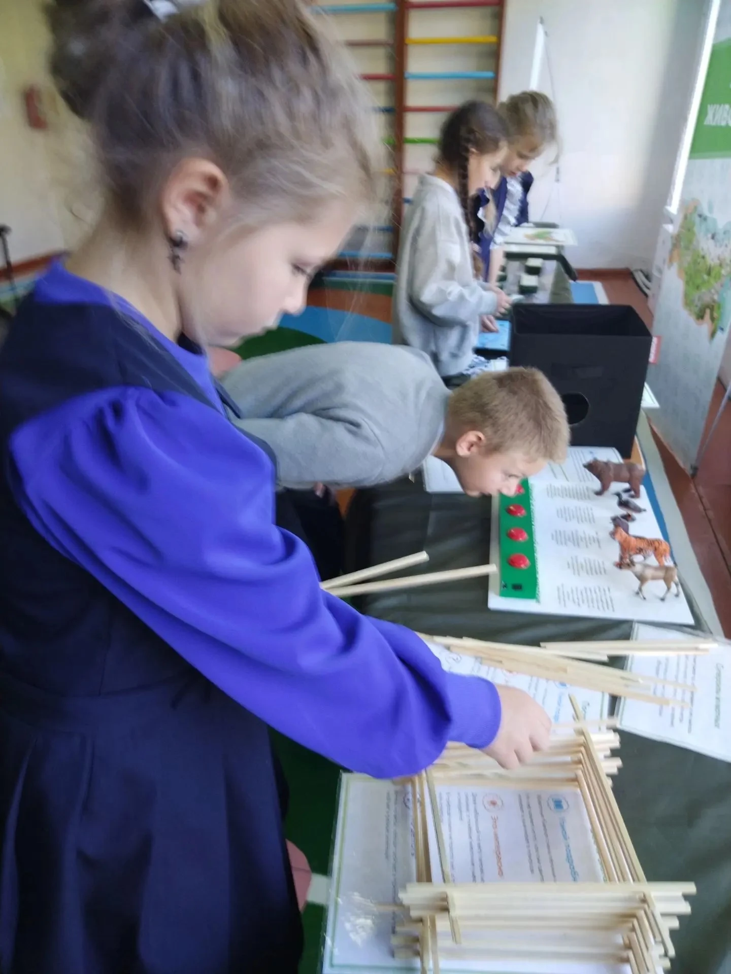 Увлекательная экспедиция в мир родной природы: как «МузейУМ» подарил детям большое прик...
