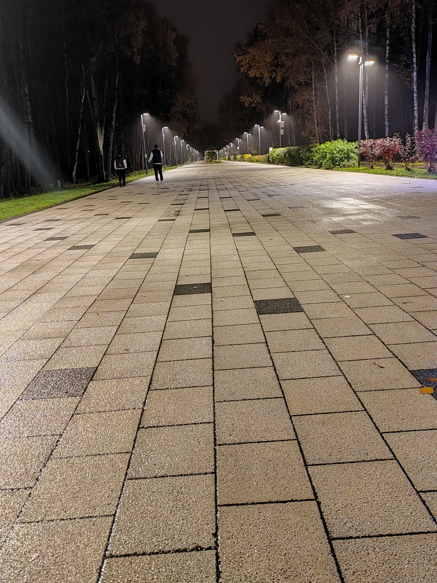 Вечерняя прогулка🍁