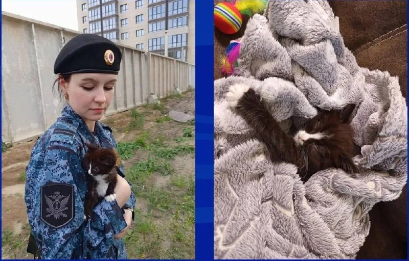 Судебный пристав из Алтайского края спасла котенка, который остался среди строительного...