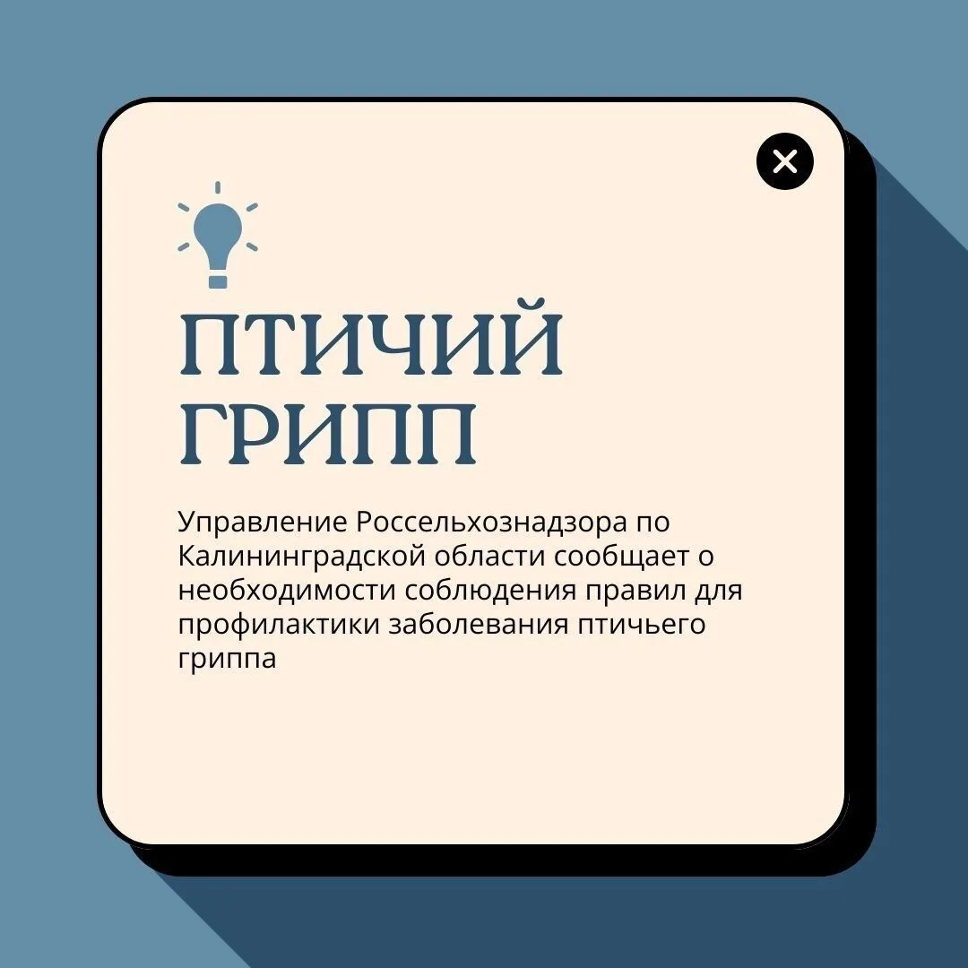 🐔Управление Россельхознадзора по Калининградской области