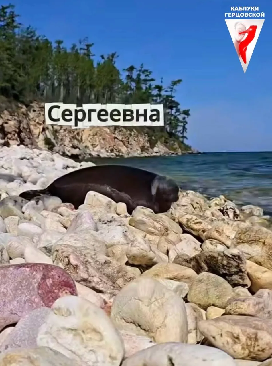 Рязань на контакте с НЛО.