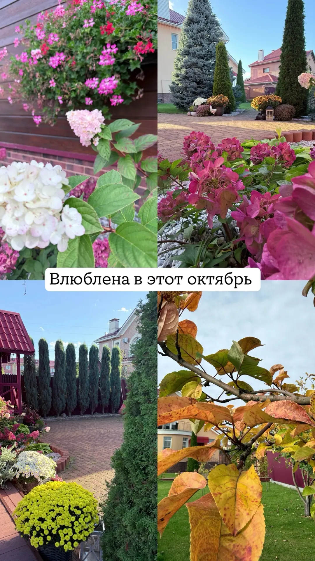 Хотелось бы перестать фотографировать эту осень. Но пока нет такой возможности - она пр...