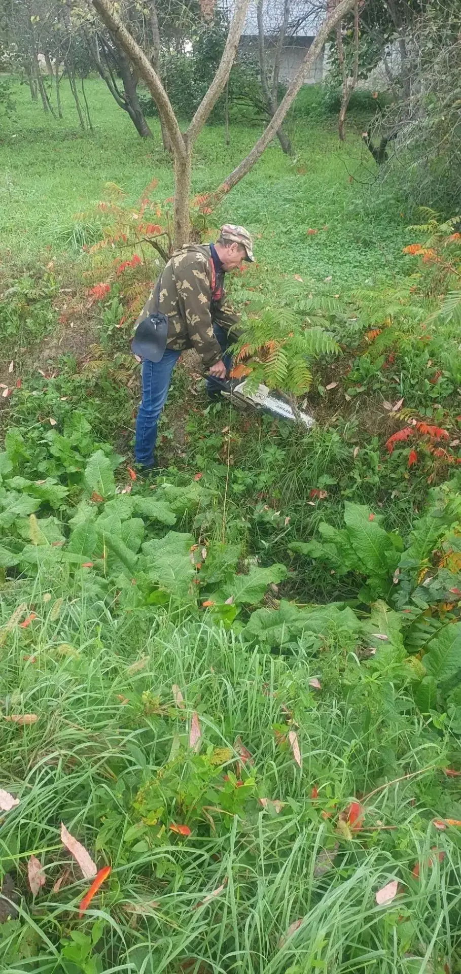 ЦРЭС: итоги рабочего четверга 🌿
