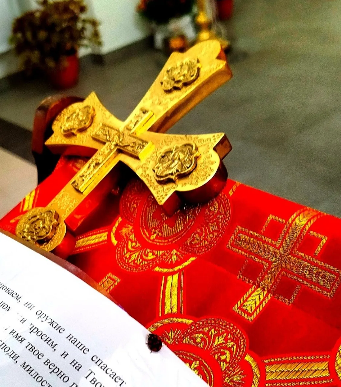 «Всякое дыхание да хвалит Господа!» 🙏