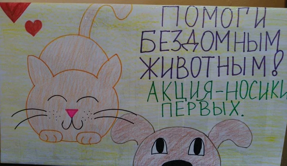 🐾 Акция «Большая помощь маленькому другу» 🐾