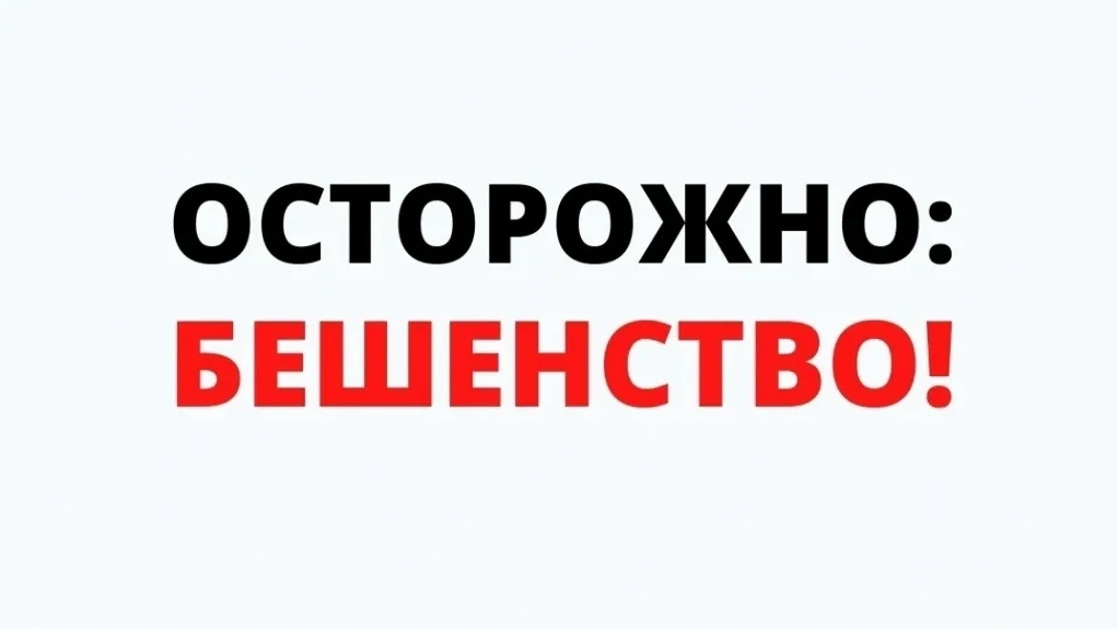 ❗ Карантин по бешенству ввели в трёх округах Пермского края — Пермском, Суксунском и Ку...