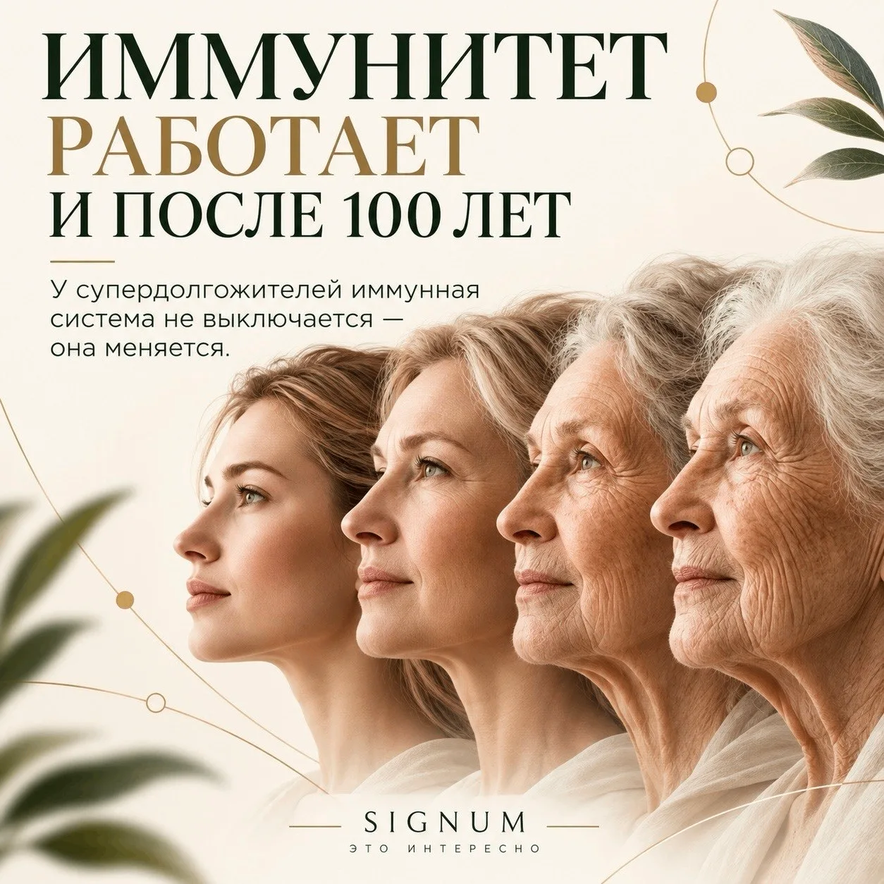 🧬 ЧТО ПРОИСХОДИТ С ИММУНИТЕТОМ ПОСЛЕ 100 ЛЕТ?