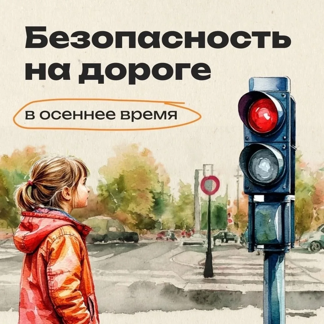 Соблюдайте ПДД! 🍂🚦