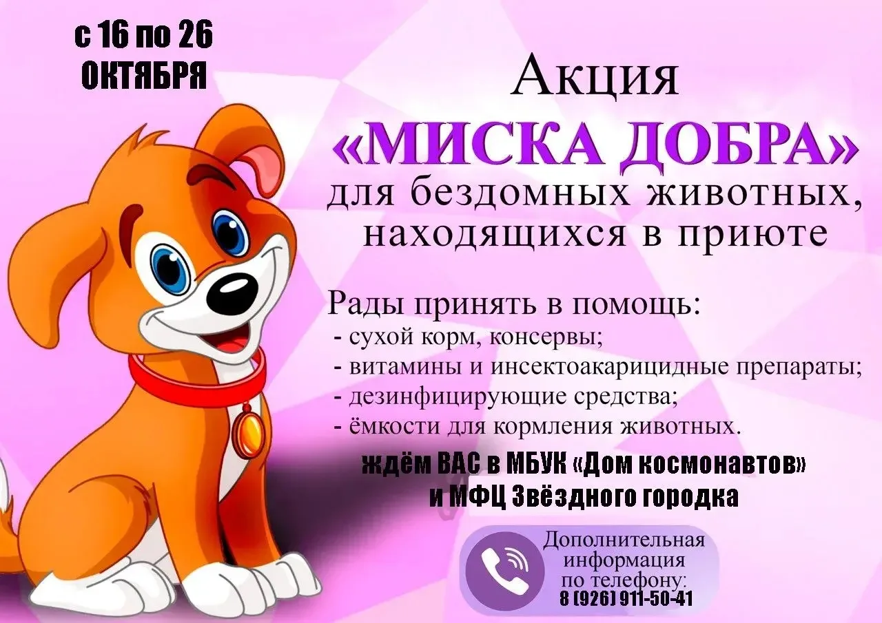 Дорогие друзья! 🐾❤️