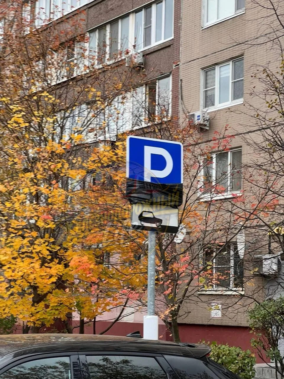 «На Новой 9 и 11 теперь будет платная парковка. Жильцам, видимо, теперь будет еще тяжел...