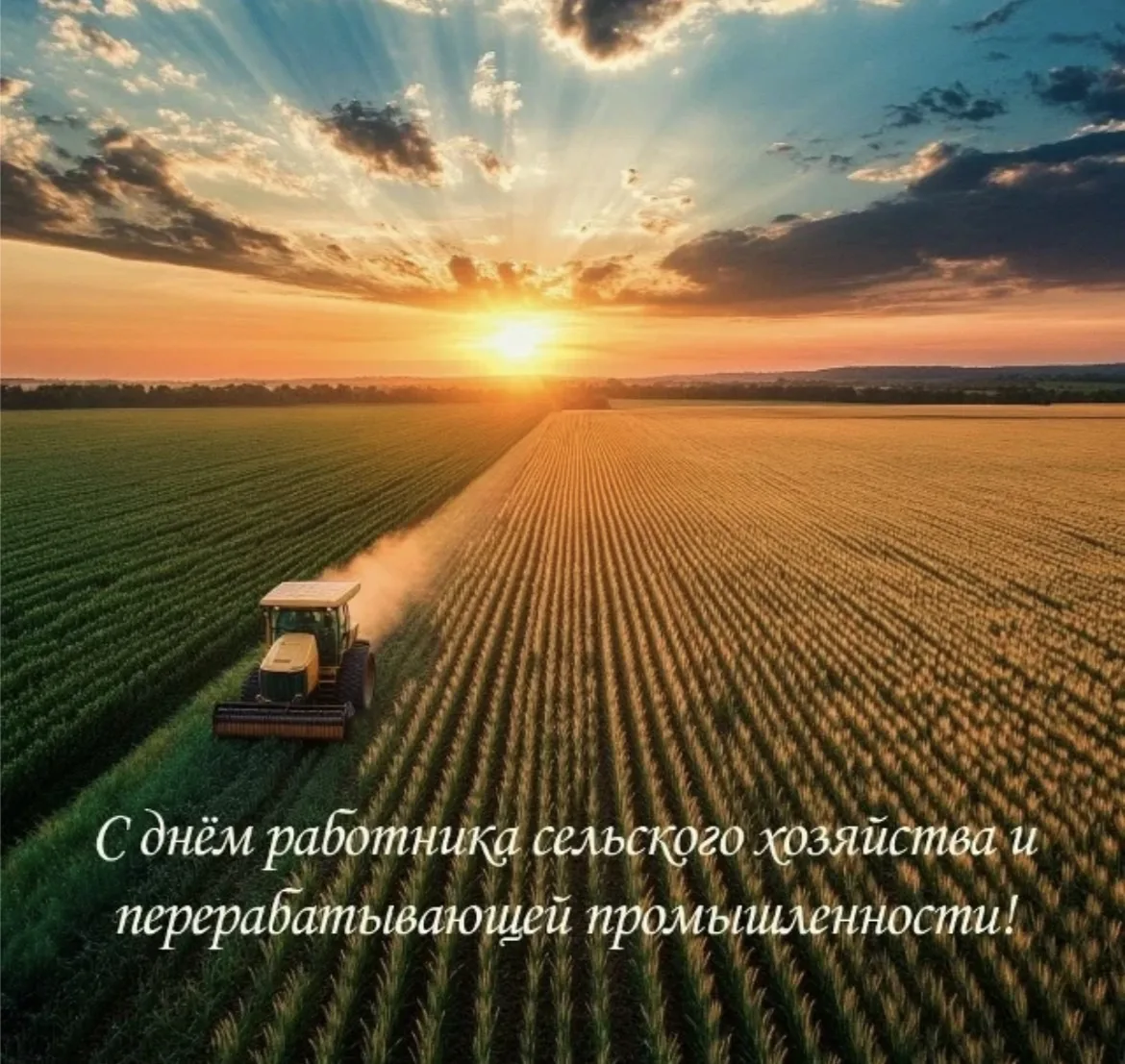 Уважаемые труженики агропромышленного комплекса, работники сельского хозяйства и перера...
