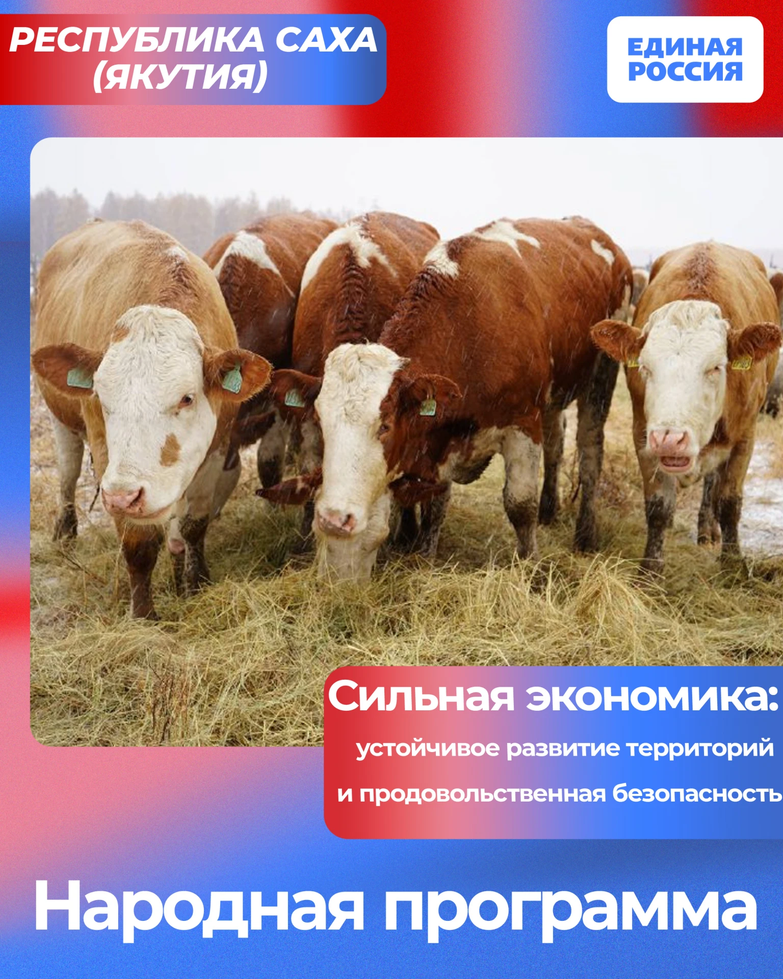 НАРОДНАЯ ПРОГРАММА – 2026