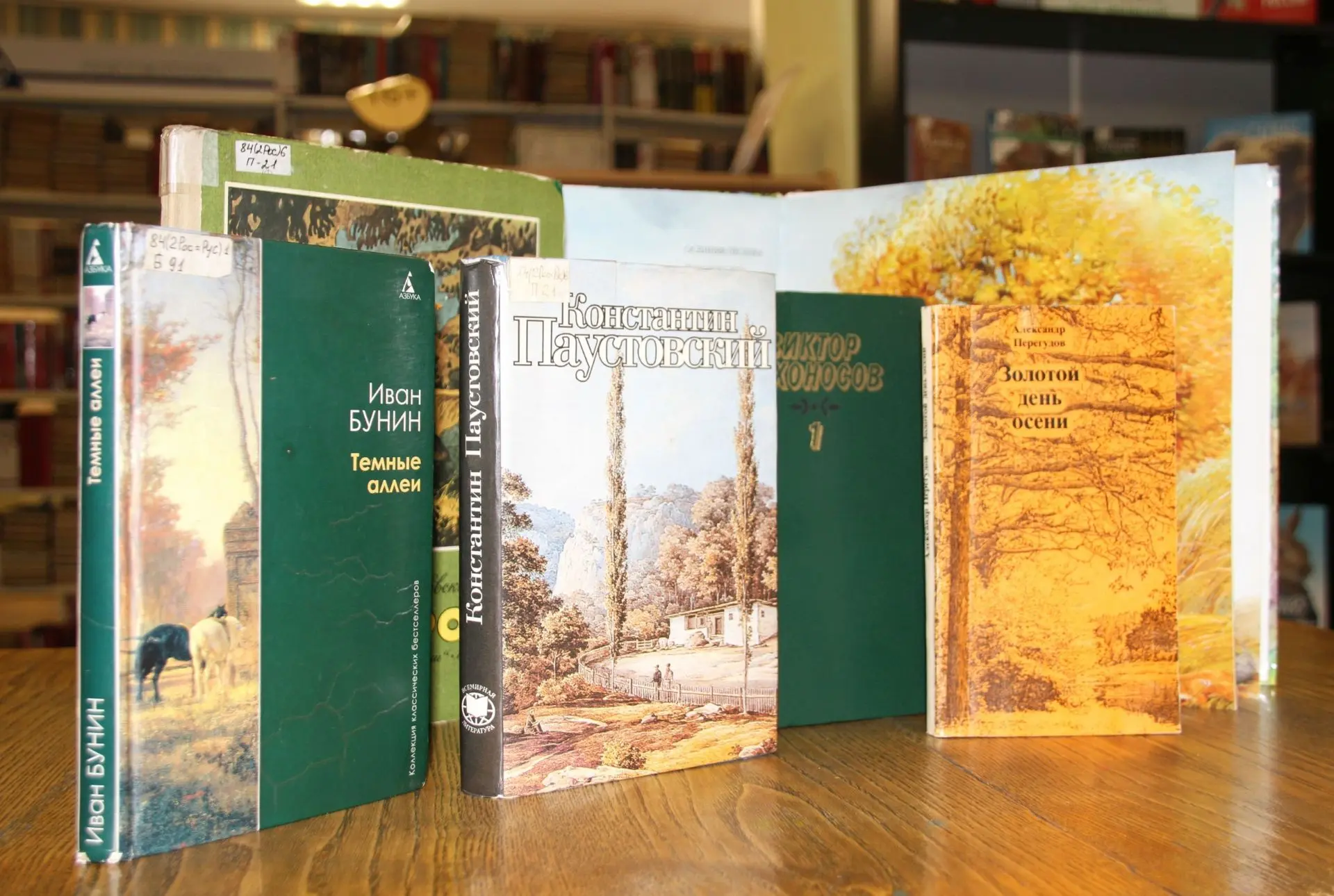 Книги с осенним настроением 🍁