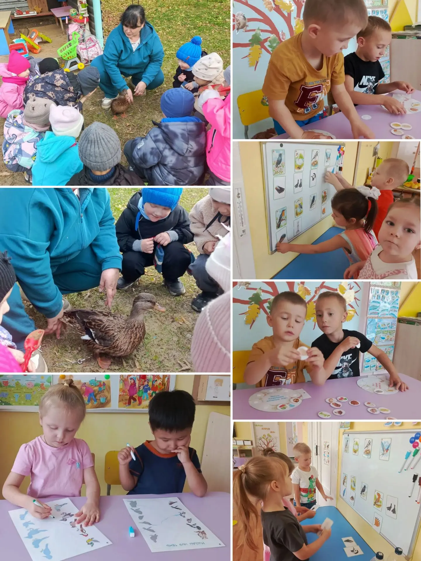 🦆 «Эко-знайки» в группе «Улыбка»: встреча с живой уткой и разговор о птицах