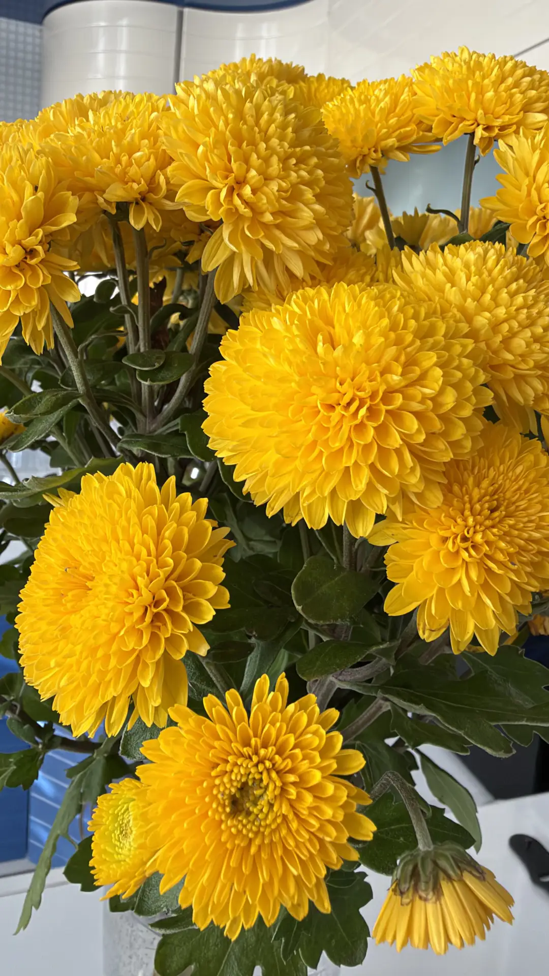 Доброе утро 💛Хороших выходных!