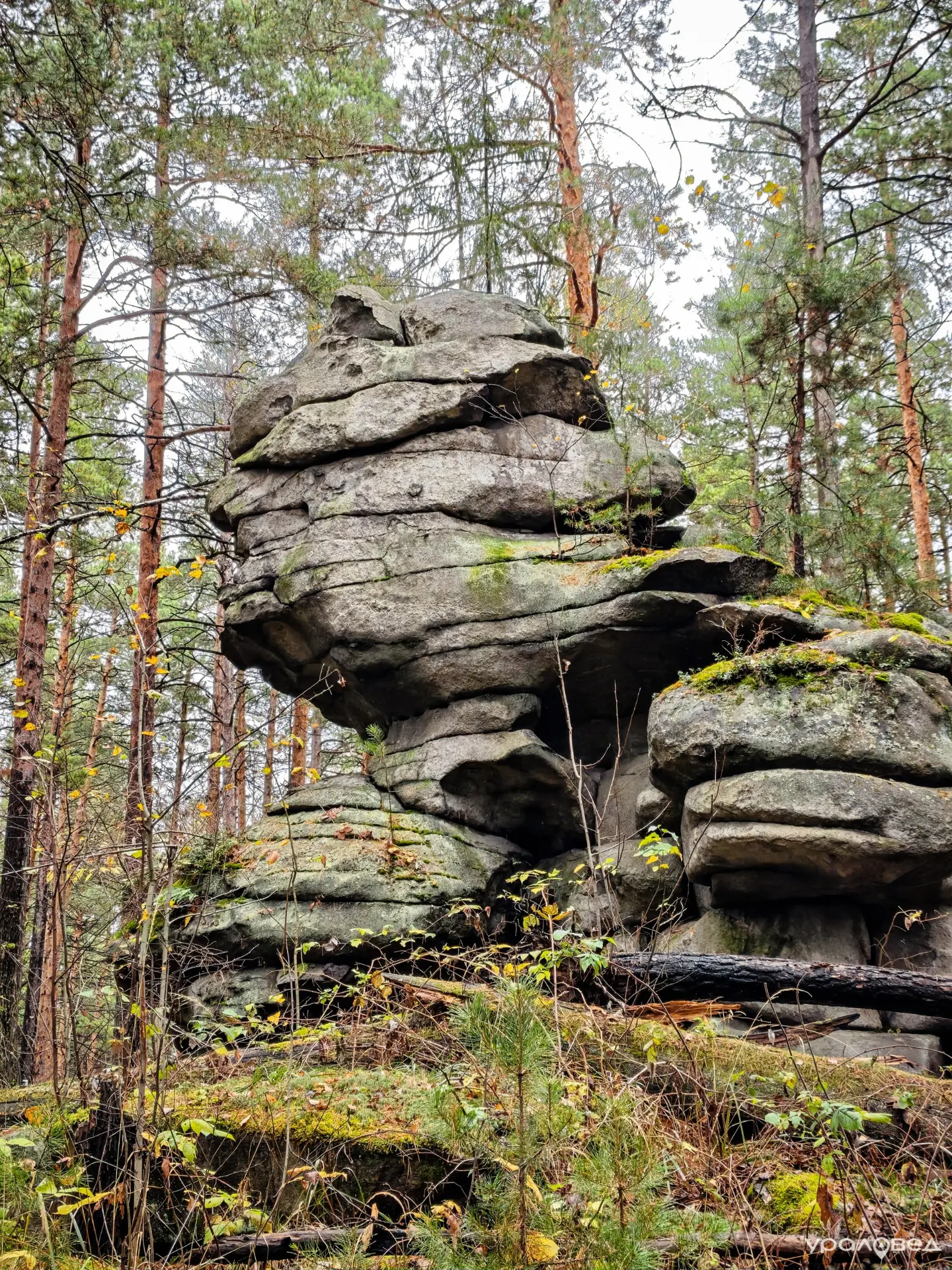Скала Сфинкс в окрестностях Северки.