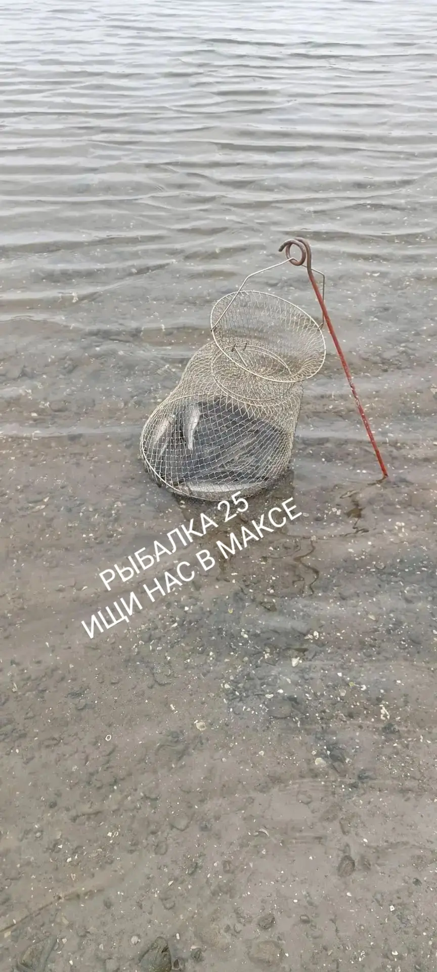 Речица позавчера