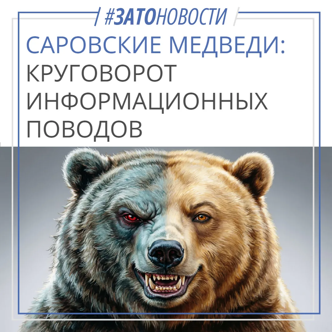 Областные СМИ массово рассказывают о том, что медведей из Сарова все-таки будут вывозить