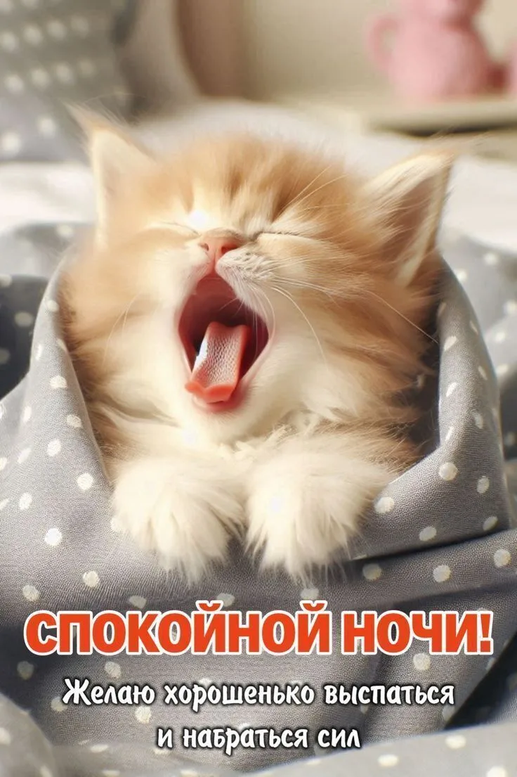 ✨СПОКОЙНОЙ НОЧИ