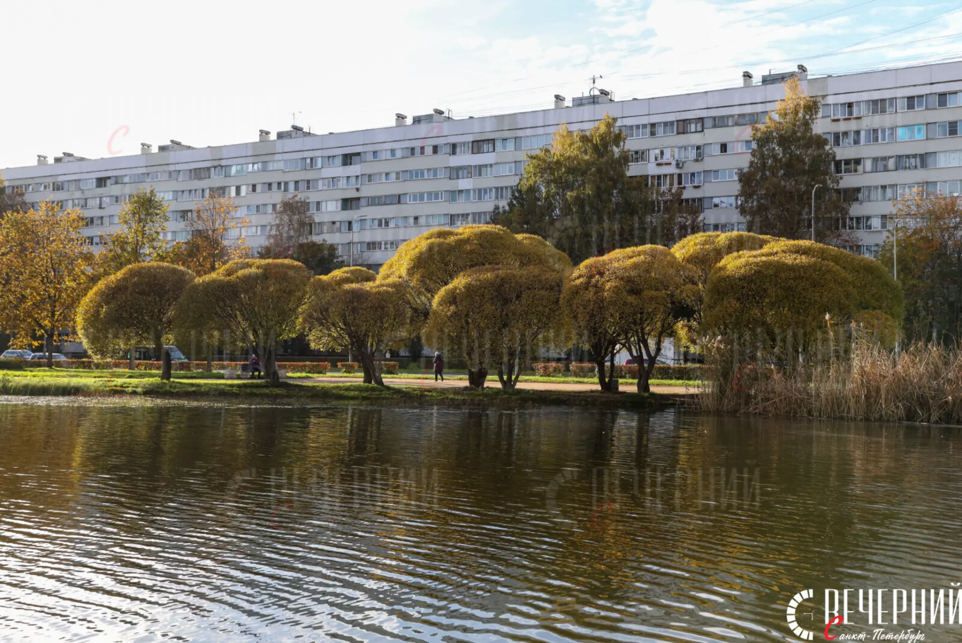 🍂 С добрым утром, Петербург!