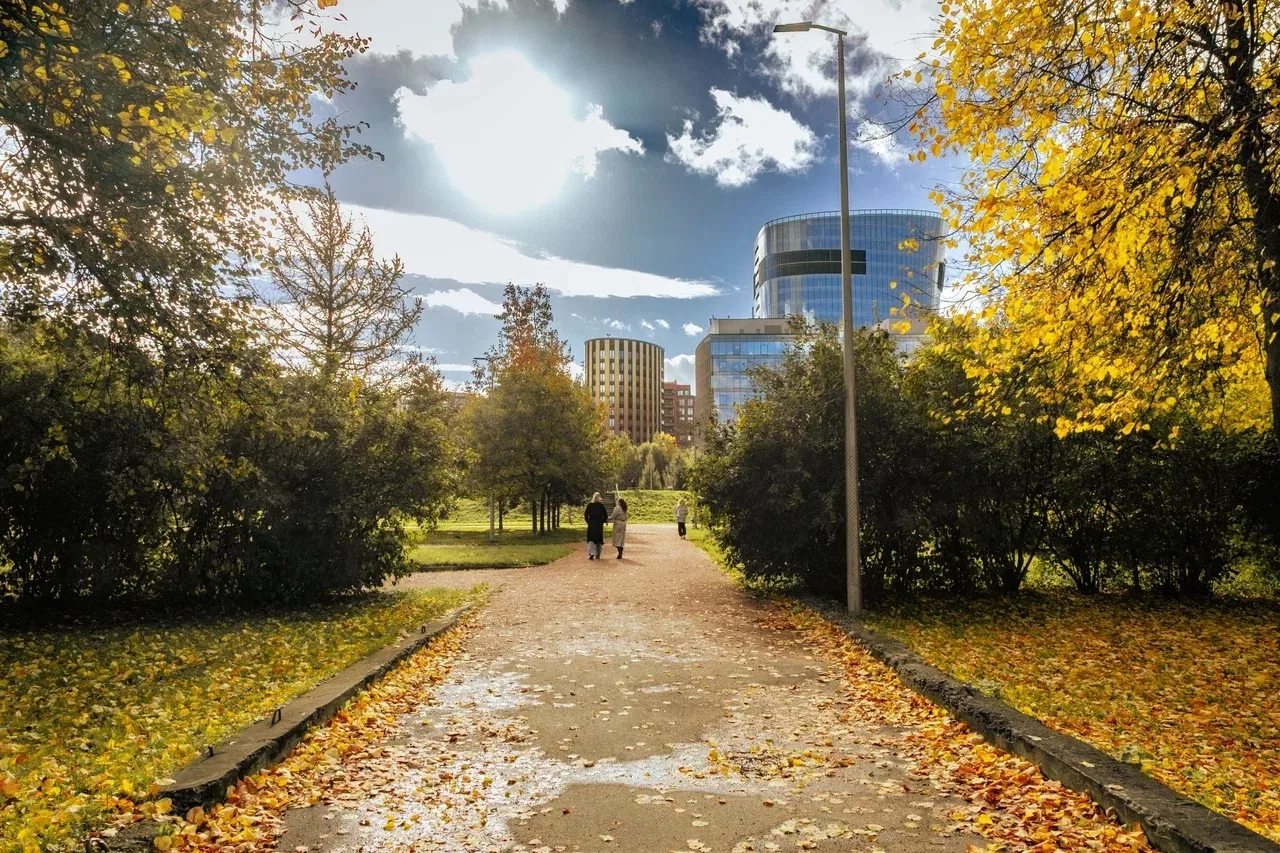 🍁 Доброе утро, Красногвардейский!