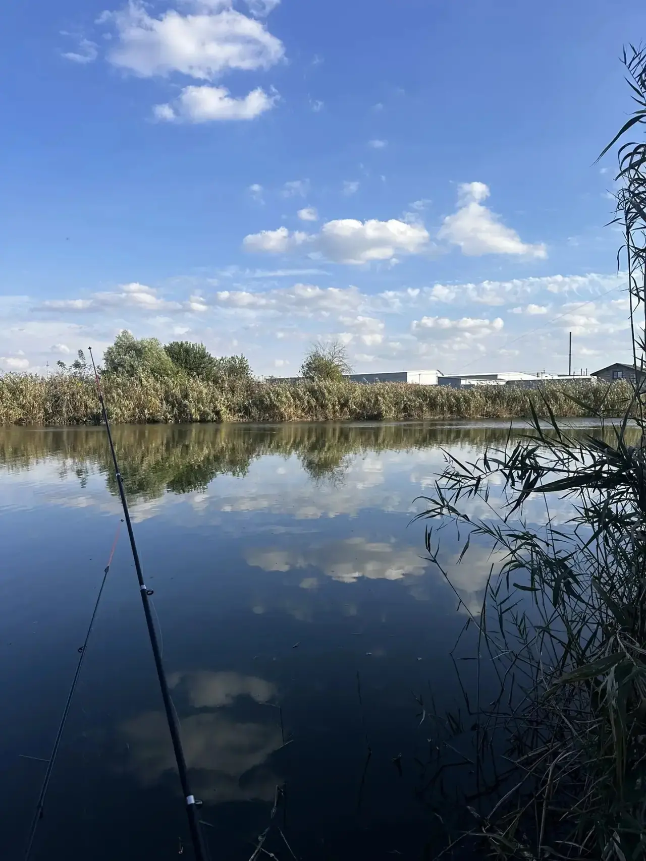 Муж на рыбалке с Олей и соседями.