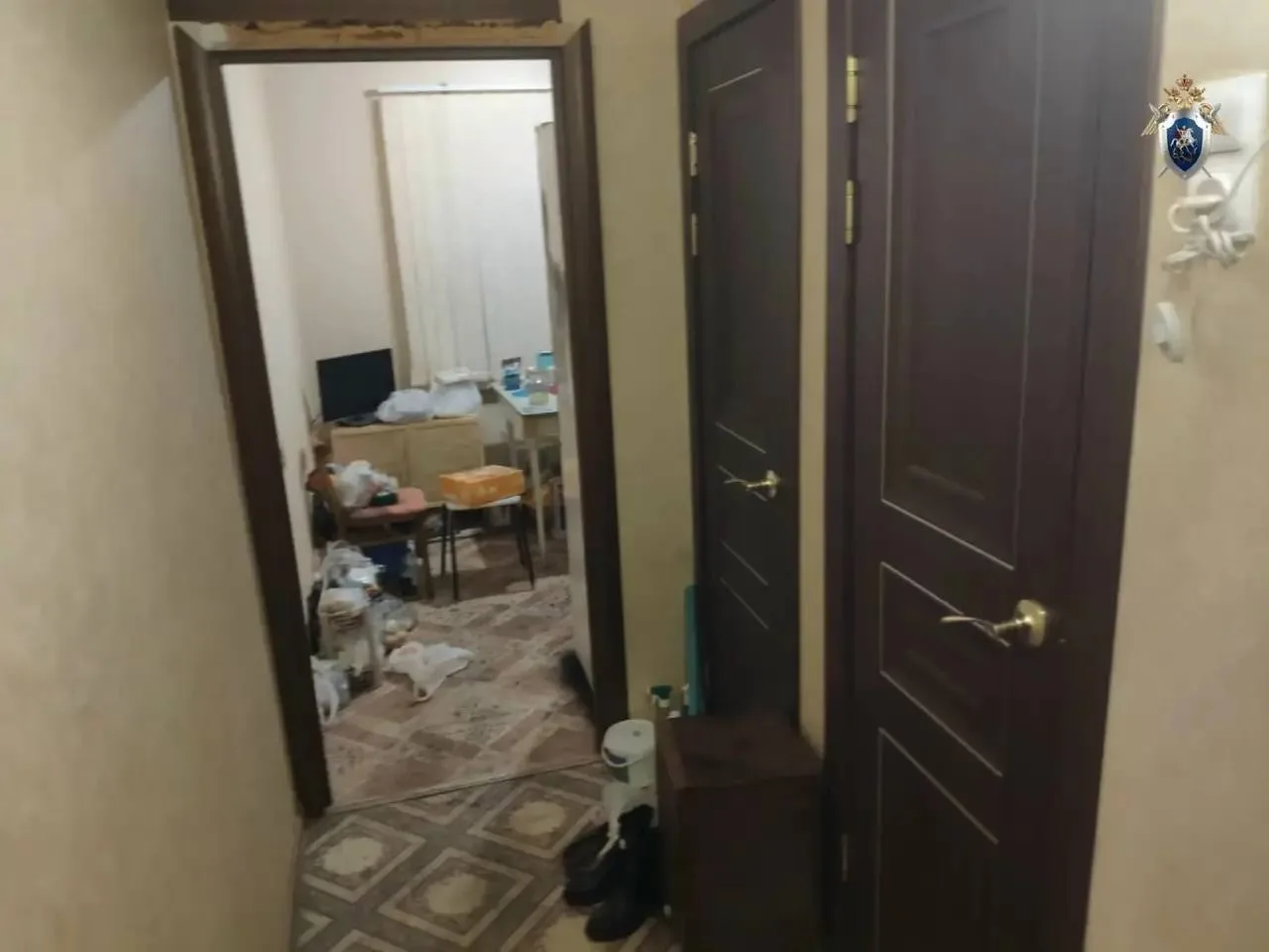 В Чапаевске вынесли приговор женщине, которая убила отца.