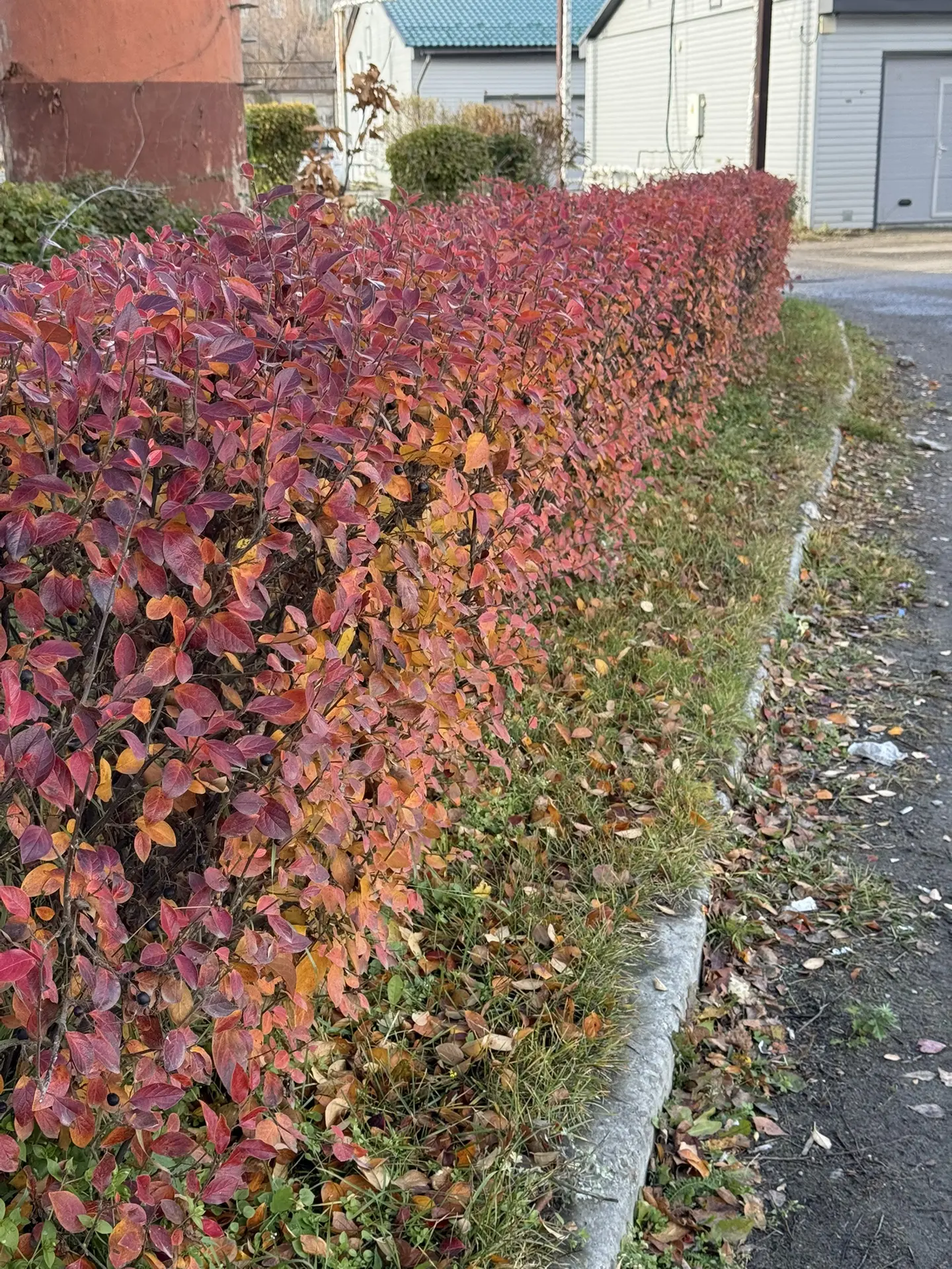 Середина октября…
