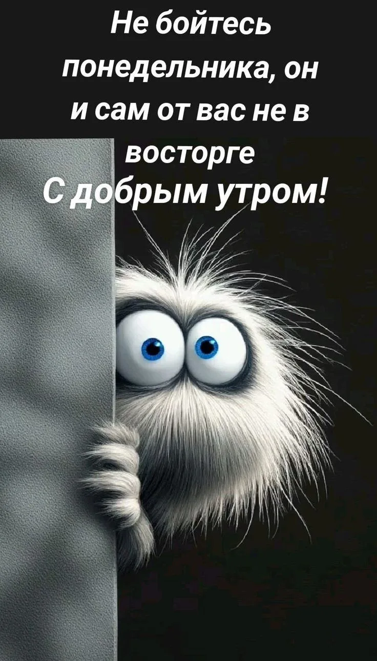 #юмор #позитив #смех_без_правил #юмор_эвридей #позитивчик #смех_лечит #хорошее_настроен...