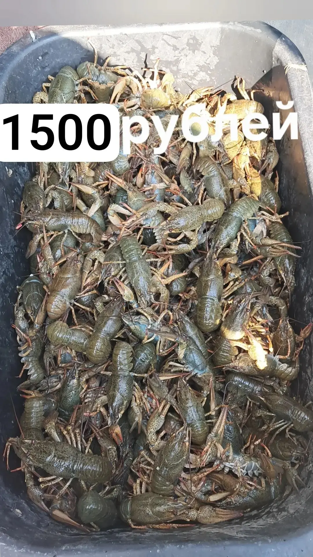 89885640745
