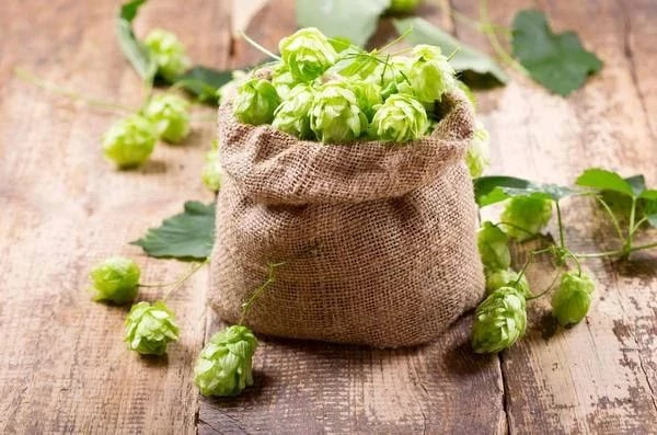 Травы для крепк😴