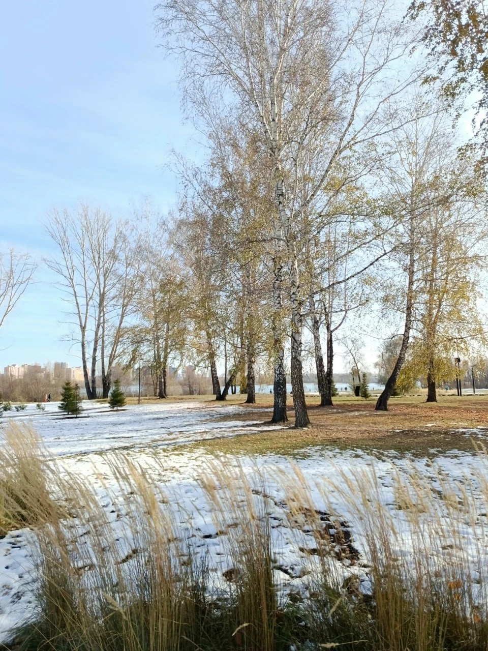 Ровно год назад в Новосибирске уже был первый снег ❄️