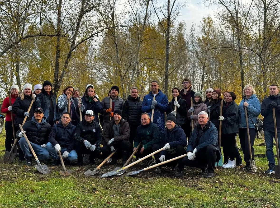 В Сидоровском парке высадили 150 деревьев — на это ушёл всего час.