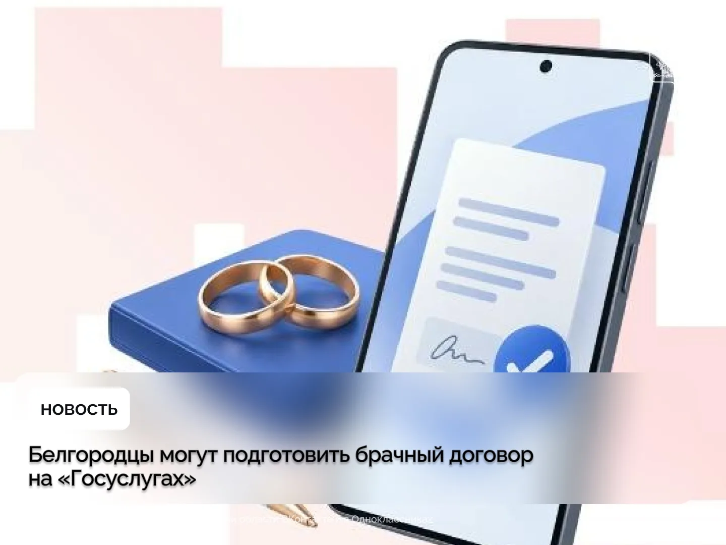 Белгородцы могут подготовить брачный договор на «Госуслугах»