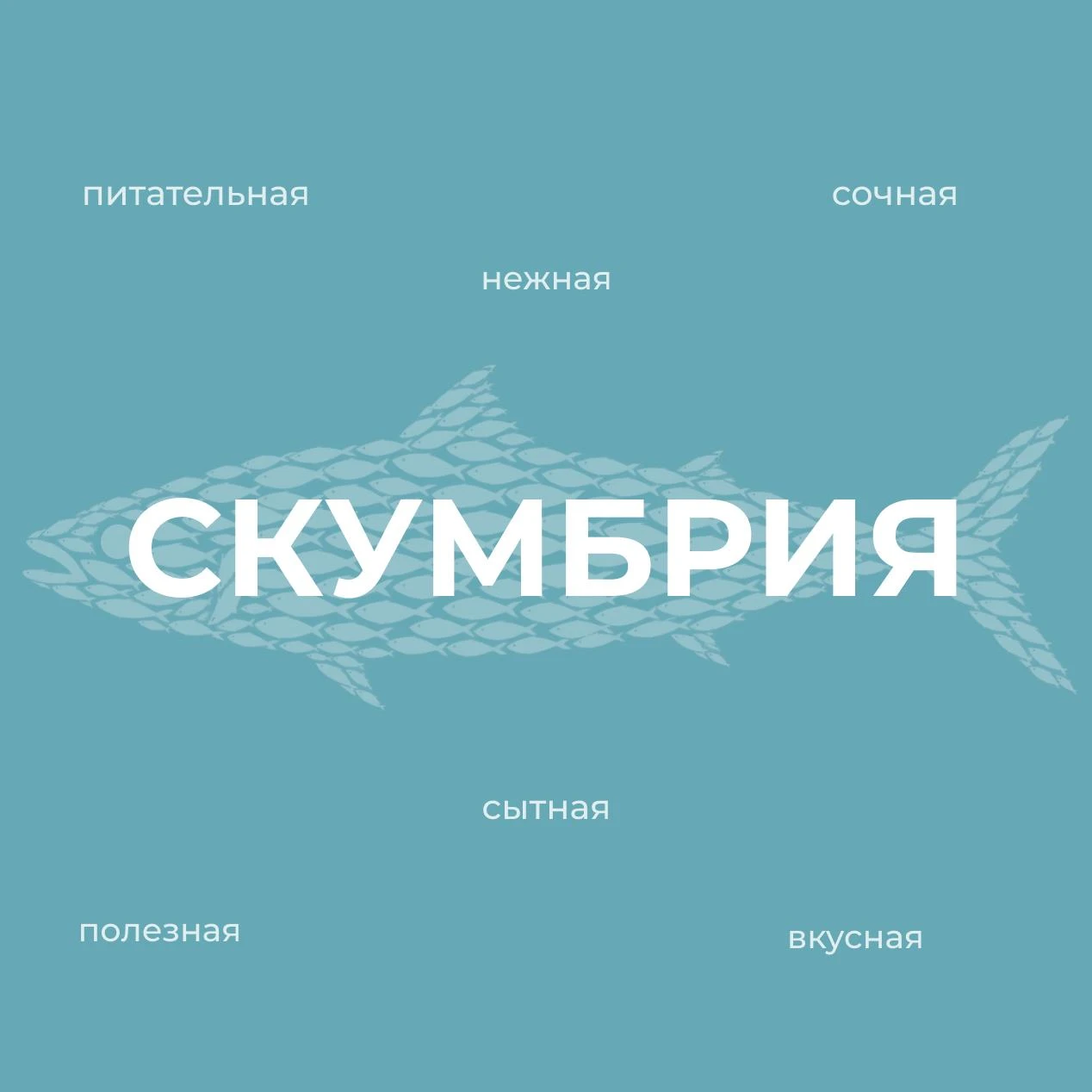 🐟 Скумбрия – кладезь пользы для здоровья