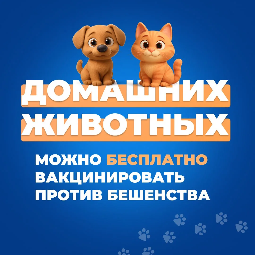 Каждую среду БЕСПЛАТНО ⚠️