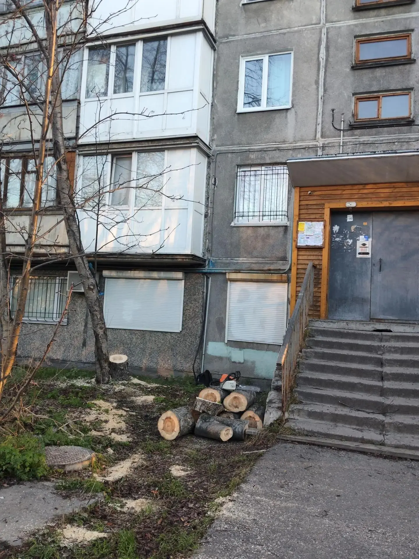 💚Спасаем дворы от опасных деревьев