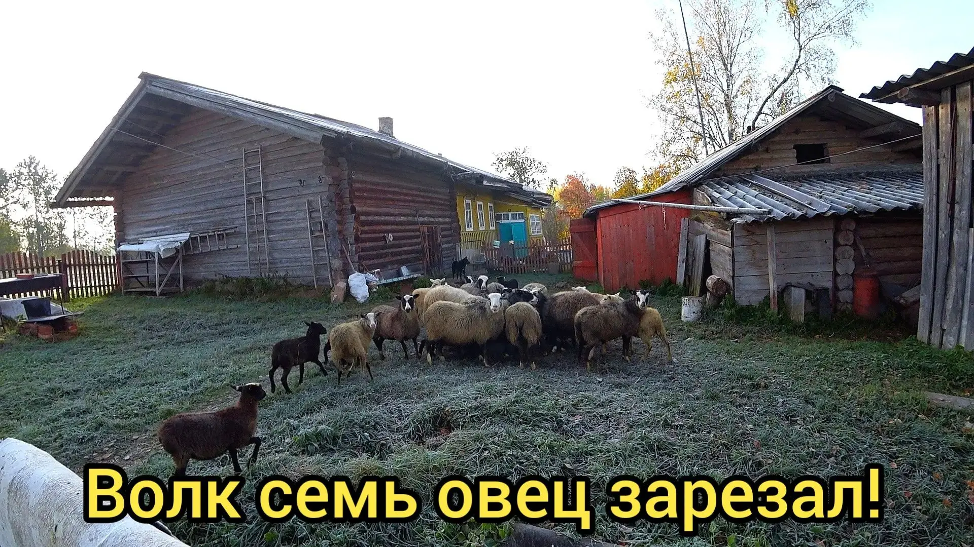 Всем привет, новый ролик уже на каналах🤝