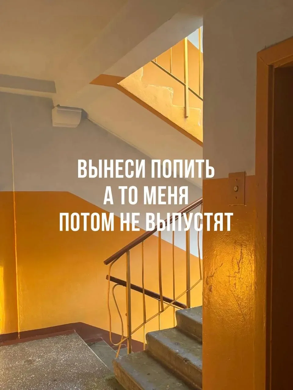 🗣️ Фразы, которые каждый из нас произносил в детстве