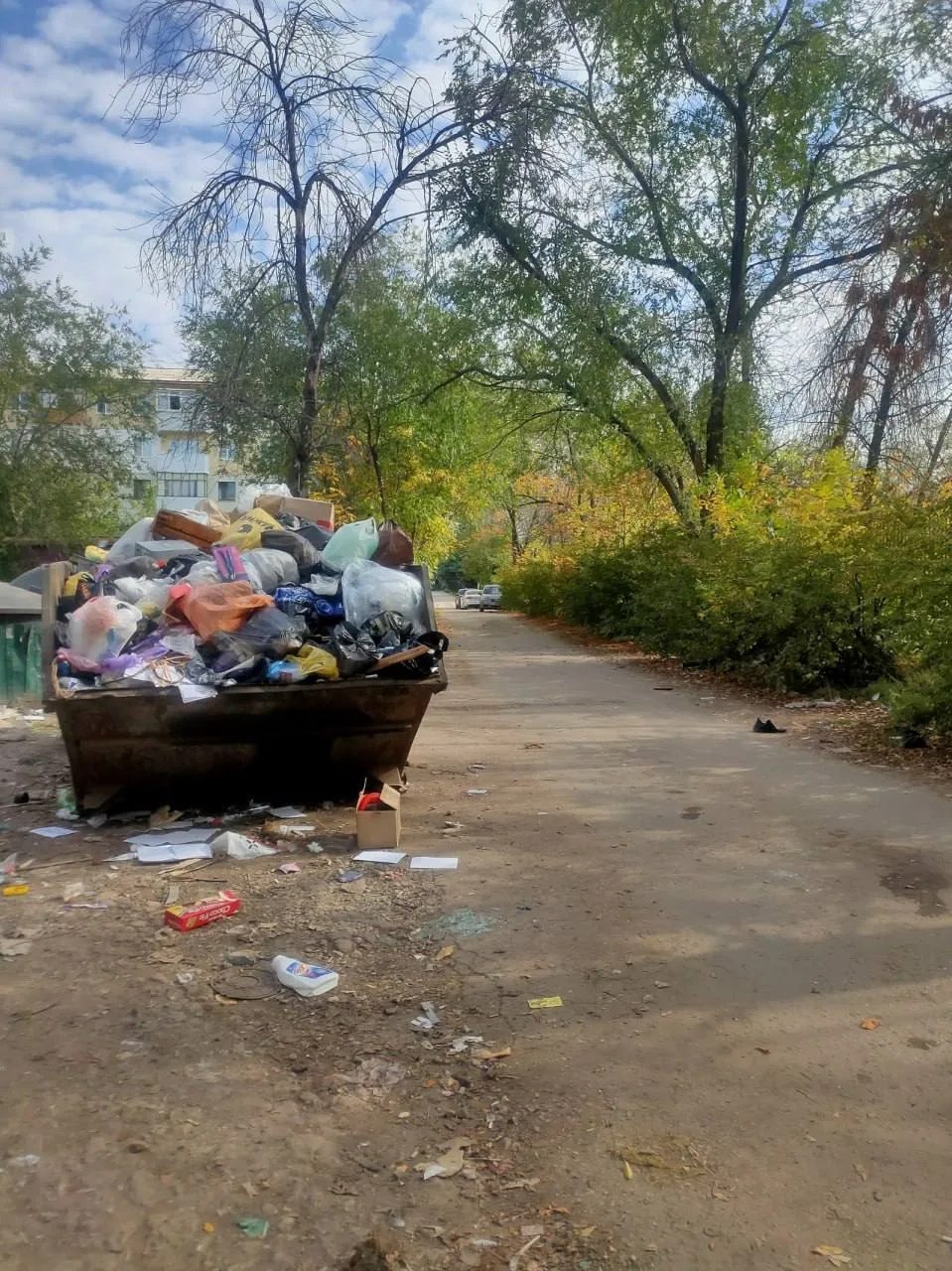 🗑️ В Новокуйбышевске мусорный контейнер у школы № 18 оказался почти на проезжей части.