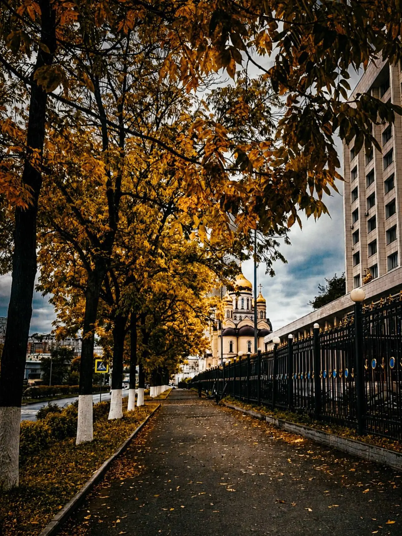 🌤️⛅️ Доброе утро, Владивосток! Сегодня, 12 октября, во Владивостоке небольшая облачнос...