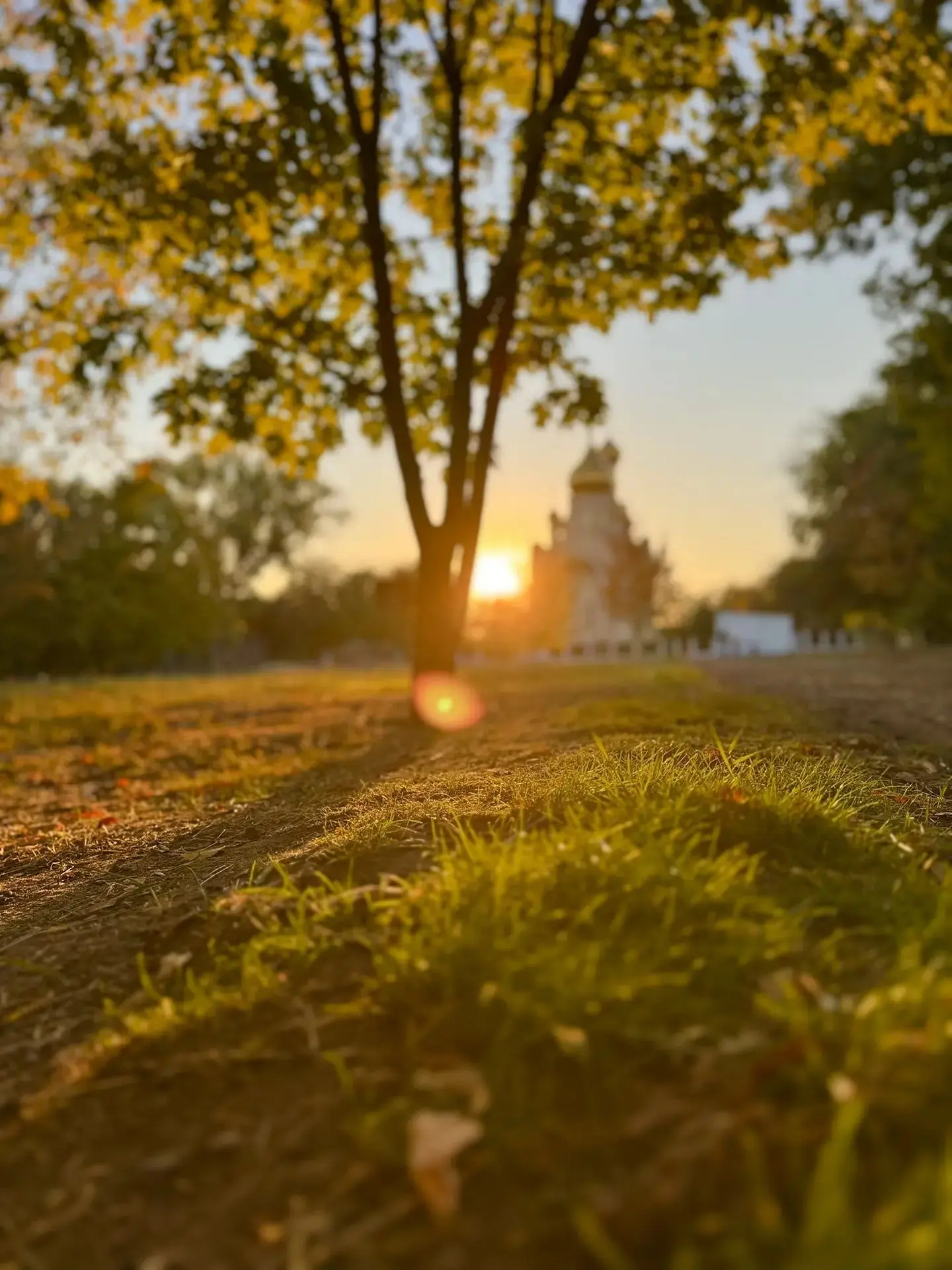 Фото дня.