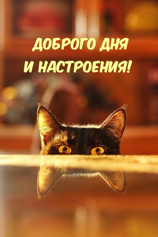 Подпишись 👇