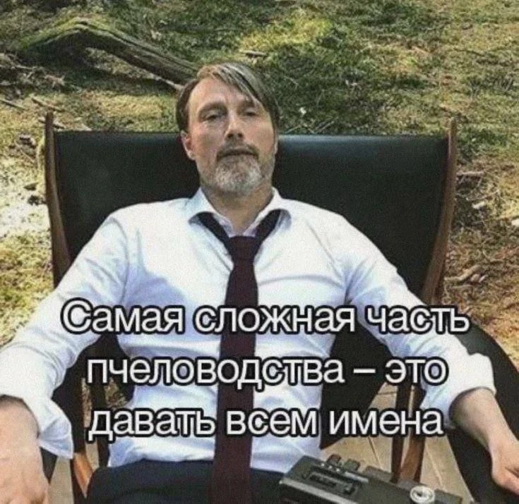 Мемы каждый день • Подписаться